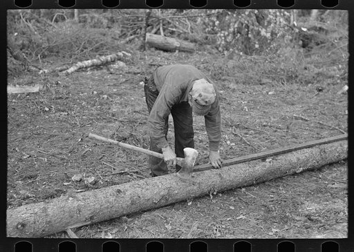 Marking pulpwood for cutting into lengths at camp near Effie, Minnesota