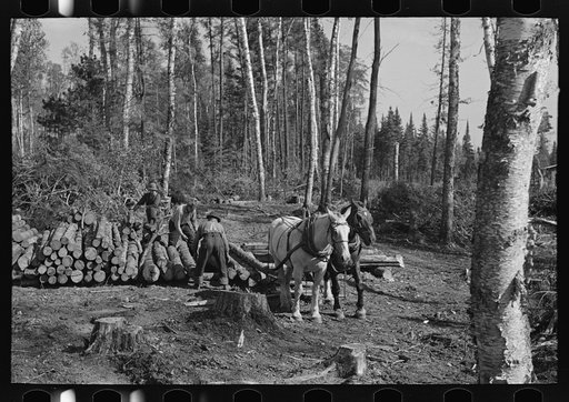 Loading pulpwood at camp near Effie, Minnesota