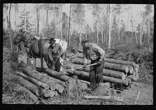 Piling timber at camp near Effie, Minnesota