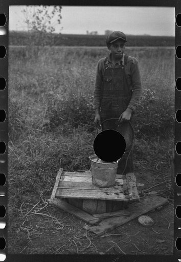 Untitled photo, possibly related to: Topping sugar beets, near Fisher, Minnesota
