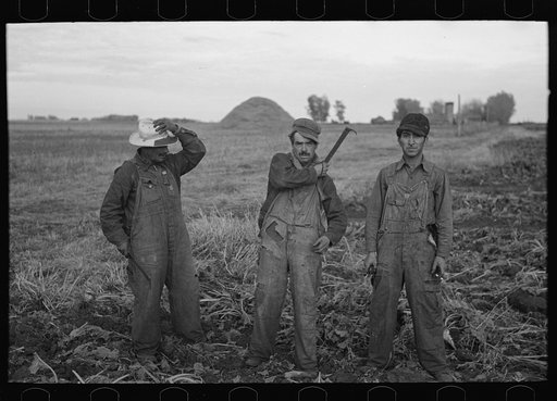 Untitled photo, possibly related to: Mexican beet workers, near Fisher, Minnesota