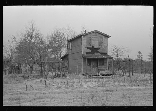 Untitled photo, possibly related to: Farmhouse of pine area, New Jersey