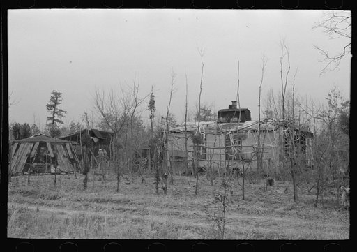 Untitled photo, possibly related to: Farmhouse of pine area, New Jersey