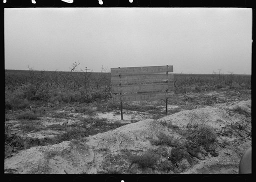 Untitled photo, possibly related to: Sign advertising land for farm purposes, pine area, New Jersey