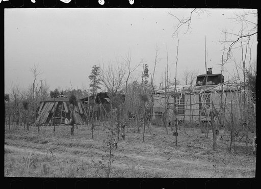 Untitled photo, possibly related to: Farmhouse and yard, pine area, New Jersey