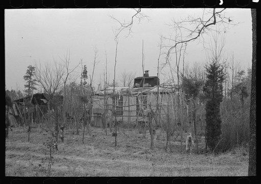 Farmhouse and yard, pine area, New Jersey