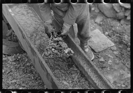Gold miner working in sluice box, Two Bit Creek, South Dakota