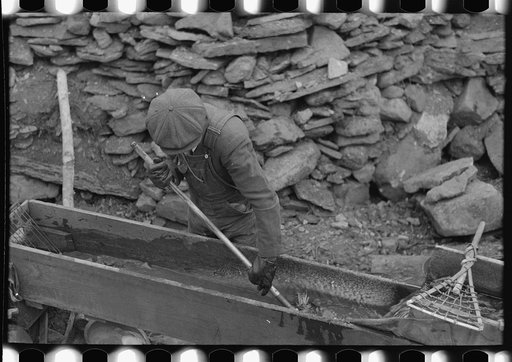 Gold miner working in sluice box, Two Bit Creek, South Dakota