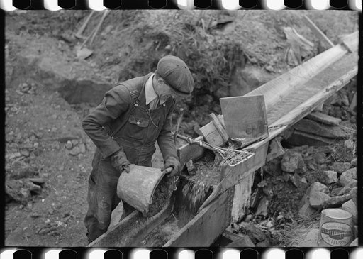 Untitled photo, possibly related to: Gold miner at work in sluice box, Two Bit Creek, South Dakota