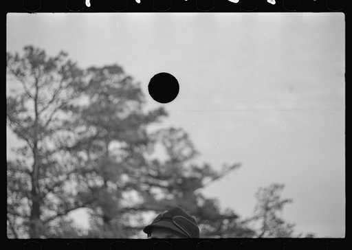 Untitled photo, possibly related to: Farmer with his dog in cut-over area, New Jersey