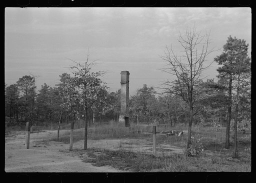 Untitled photo, possibly related to: Remains of house destroyed by fire, cut-over area, New Jersey