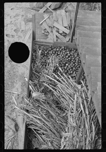 Untitled photo, possibly related to: Old gristmill on road to Skyline Drive, Virginia