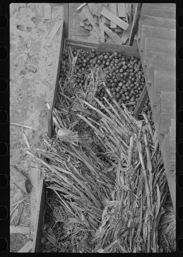 Untitled photo, possibly related to: Old gristmill on road to Skyline Drive, Virginia