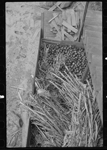 Untitled photo, possibly related to: Old gristmill on road to Skyline Drive, Virginia