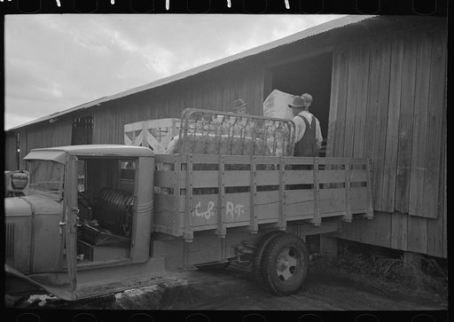 Untitled photo, possibly related to: Mother and child, FSA (Farm Security Administration) clients, former sharecroppers, just before moving to Southeast Missouri Farms