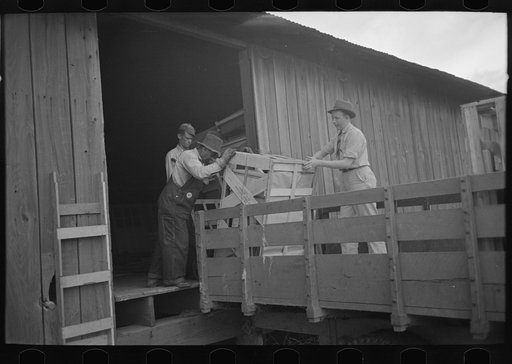 Southeast Missouri Farms. Loading cook stove on to truck for transporting to new farm unit