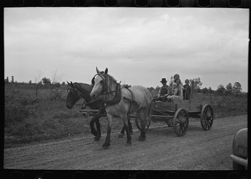 Untitled photo, possibly related to: Southeast Missouri Farms. FSA (Farm Security Administration) client sitting on load of groceries in trailer