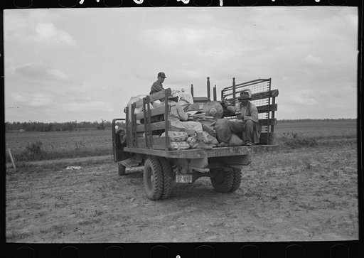 Untitled photo, possibly related to: Southeast Missouri Farms. FSA (Farm Security Administration) client, former sharecropper moving with all possessions on truck from old home to new house
