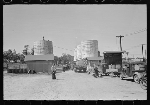 Untitled photo, possibly related to: Farmer waiting in line for load of liquid feed, Owensboro, Kentucky