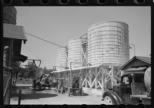 Untitled photo, possibly related to: Farmer waiting in line for load of liquid feed, Owensboro, Kentucky
