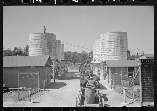 Untitled photo, possibly related to: Farmer waiting in line for load of liquid feed, Owensboro, Kentucky