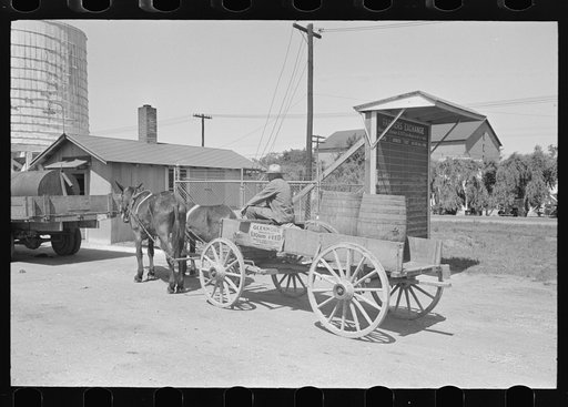 Farmer waiting in line for load of liquid feed, Owensboro, Kentucky