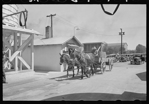 Untitled photo, possibly related to: Farmer waiting in line for load of liquid feed, Owensboro, Kentucky