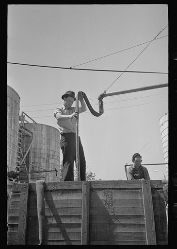 Loading liquid feed onto wagon, Owensboro, Kentucky
