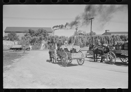 Untitled photo, possibly related to: Farmer with load of liquid feed, Owensboro, Kentucky