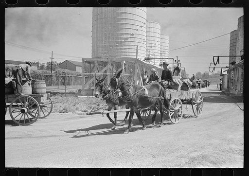 Farmers leaving liquid feed loading station, Owensboro, Kentucky