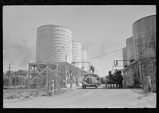 Untitled photo, possibly related to: Farmer with load of liquid feed, Owensboro, Kentucky