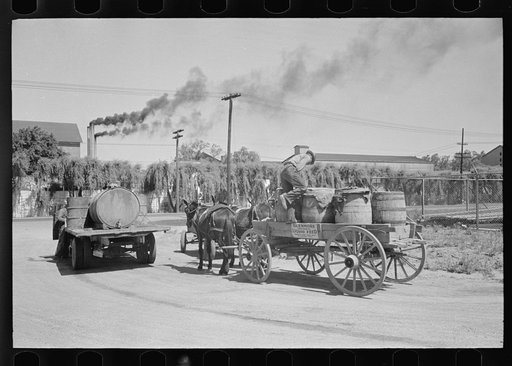 Farmer with load of liquid feed, Owensboro, Kentucky