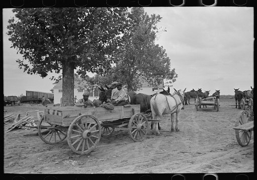 New Madrid County, Missouri. FSA (Farm Security Administration) client with mules and wagon in front of cooperative store