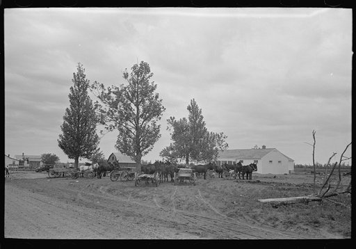 Untitled photo, possibly related to: New Madrid County, Missouri. FSA (Farm Security Administration) client with mules and wagon in front of cooperative store