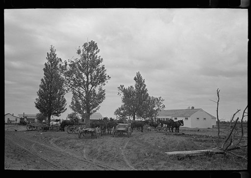 Untitled photo, possibly related to: New Madrid County, Missouri. FSA (Farm Security Administration) client with mules and wagon in front of cooperative store