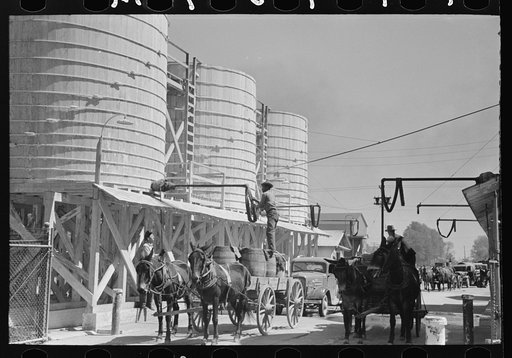 Loading liquid feed onto truck from tanks at distillery near Owensboro, Kentucky