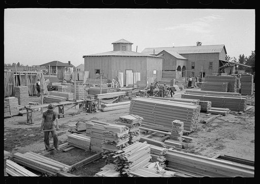 House plant. General view of the plant taken from raw material stacks. Material moves from right to left in this picture. Southeast Missouri Farms Project