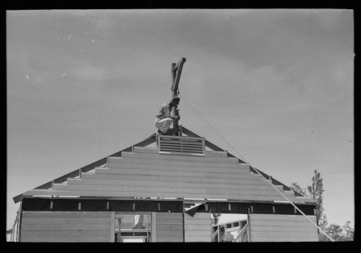 Southeast Missouri Farms Project. Fieldhouse erection. Removing gin pole after gable ends are in place and braced