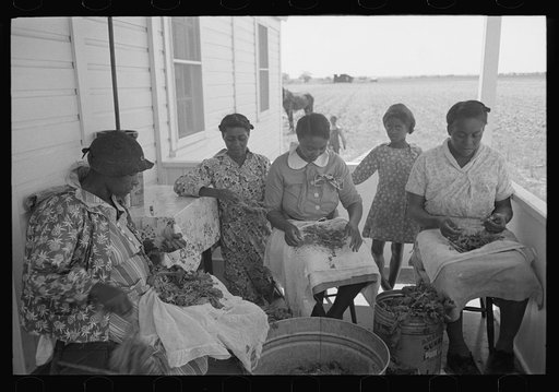 Untitled photo, possibly related to: Southeast Missouri Farms. FSA (Farm Security Administration) clients preparing greens for canning