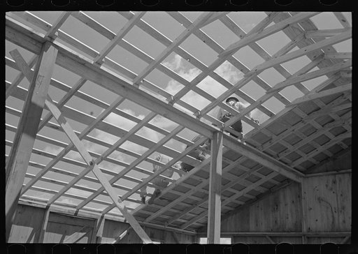Barn erection. View of roofing operation from beneath, showing construction of the roof system. Southeast Missouri Farms Project