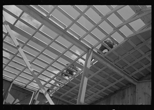 Untitled photo, possibly related to: Barn erection. View of roofing operation from beneath, showing construction of the roof system. Southeast Missouri Farms Project