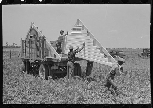 Southeast Missouri Farms Project. House erection. Unloading gable ends