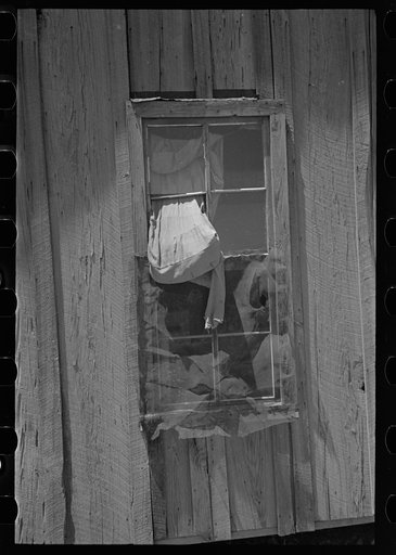 Window on side of sharecropper cabin, Southeast Missouri Farms
