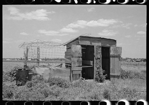 Untitled photo, possibly related to: Combination henhouse and privy, Southeast Missouri Farms