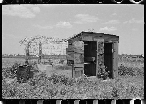 Untitled photo, possibly related to: Combination henhouse and privy, Southeast Missouri Farms