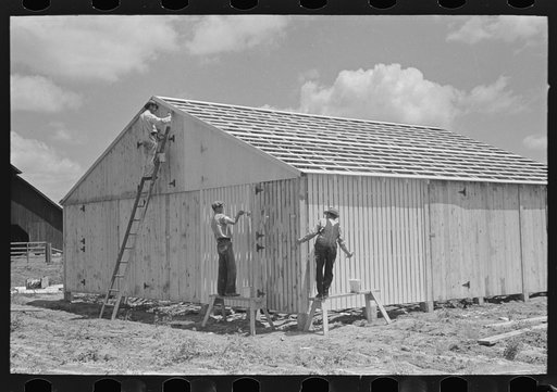 Untitled photo, possibly related to: Barn erection. Beginning prime coating of completely erected barn in field. Southeast Missouri Farms Project