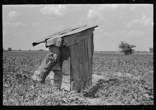 Privy of sharecropper, New Madrid County, Missouri