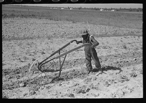 Untitled photo, possibly related to: New Madrid County, Missouri. Child of sharecropper cultivating cotton