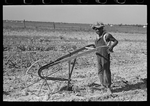 Untitled photo, possibly related to: New Madrid County, Missouri. Child of sharecropper cultivating cotton