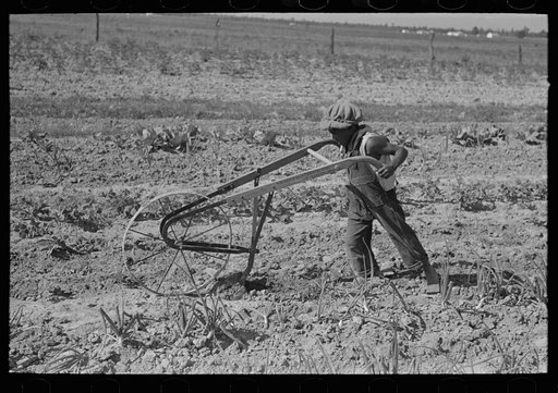 New Madrid County, Missouri. Son of sharecropper cultivating garden